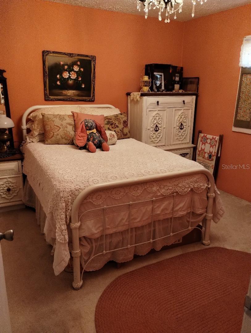 Photo #15