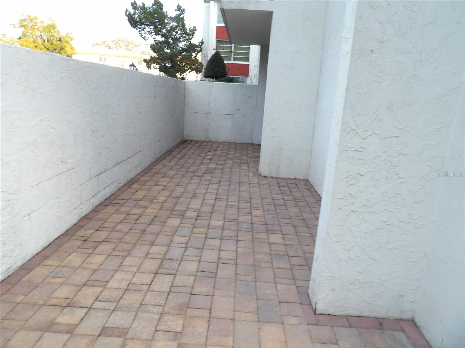 Photo #8