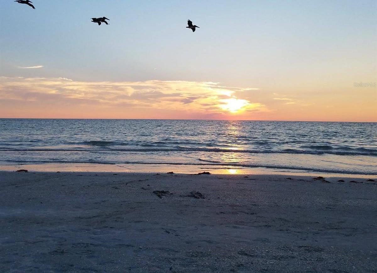 Photo #77