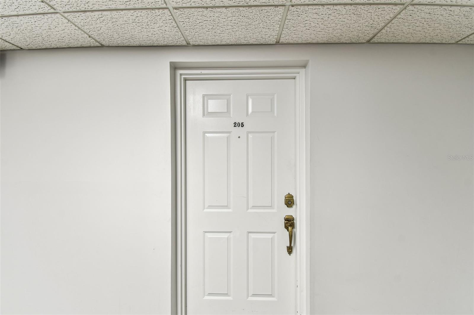 Photo #5