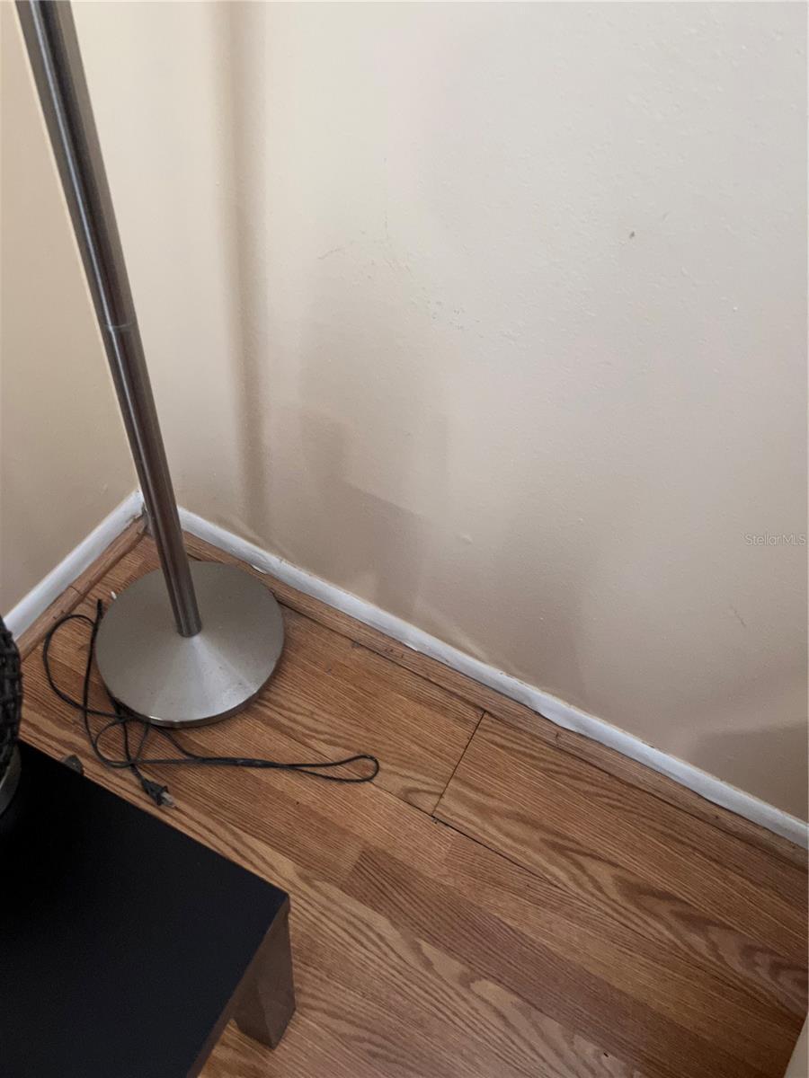 Photo #43