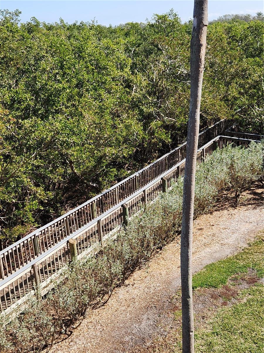Photo #62