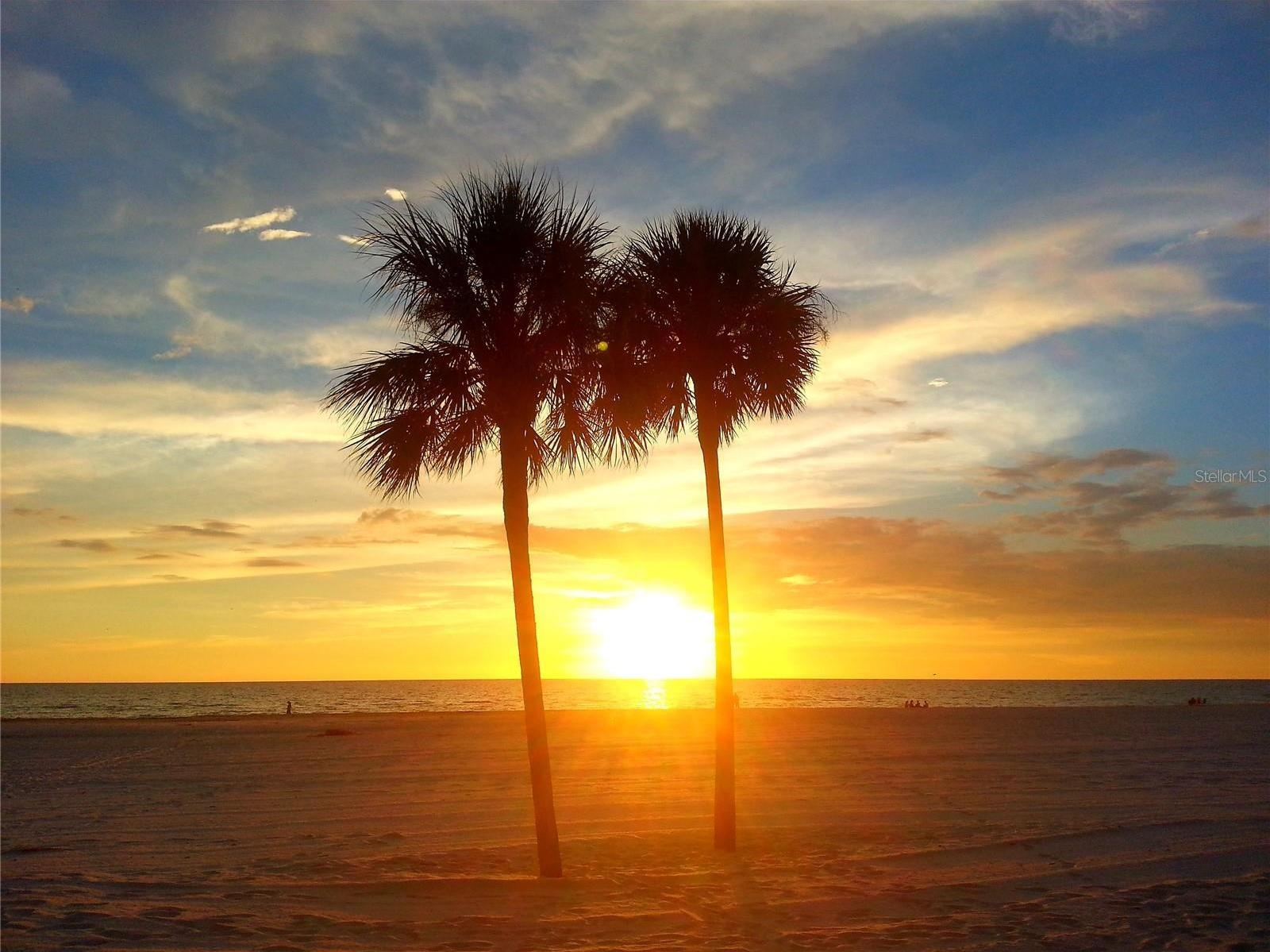 Photo #20