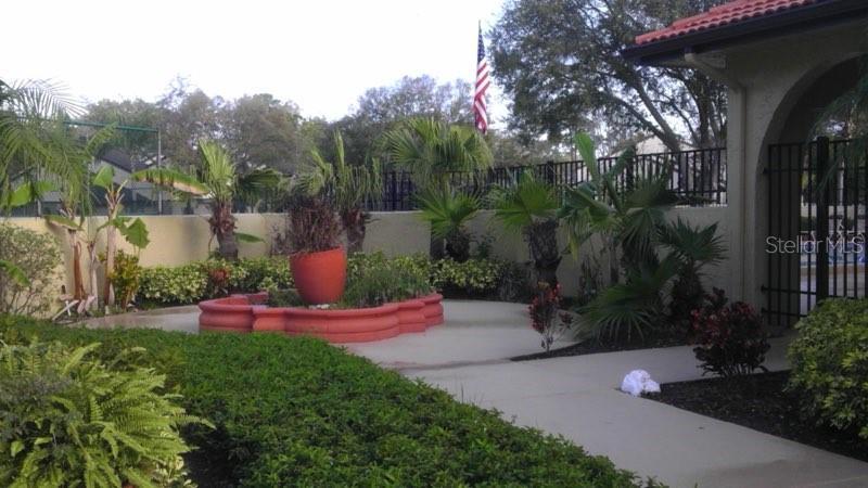 Photo #40