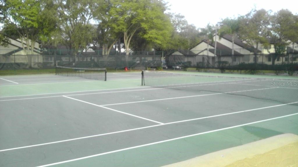 Photo #33