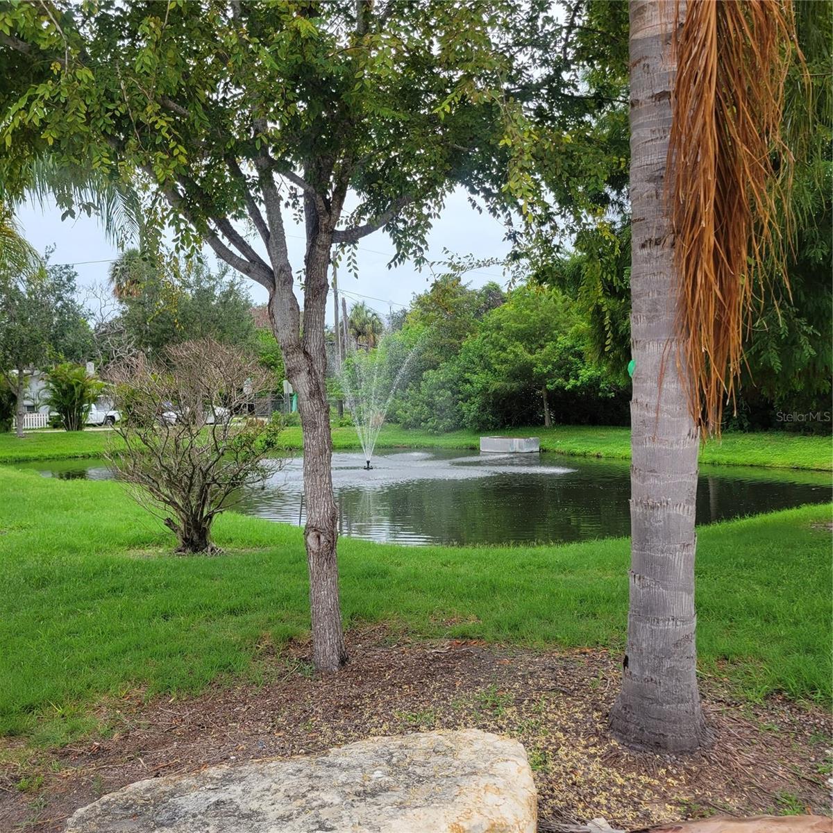 Photo #48