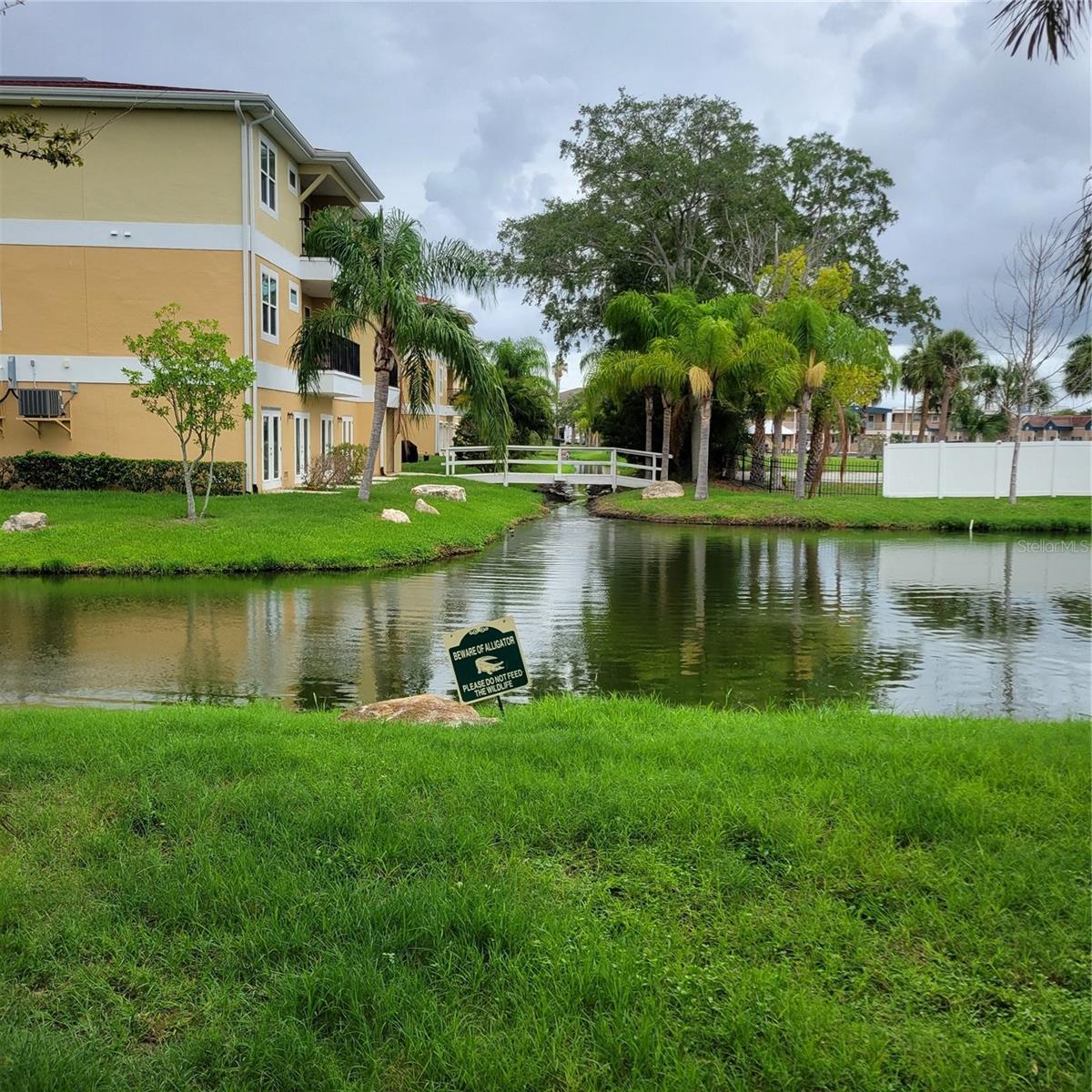 Photo #46