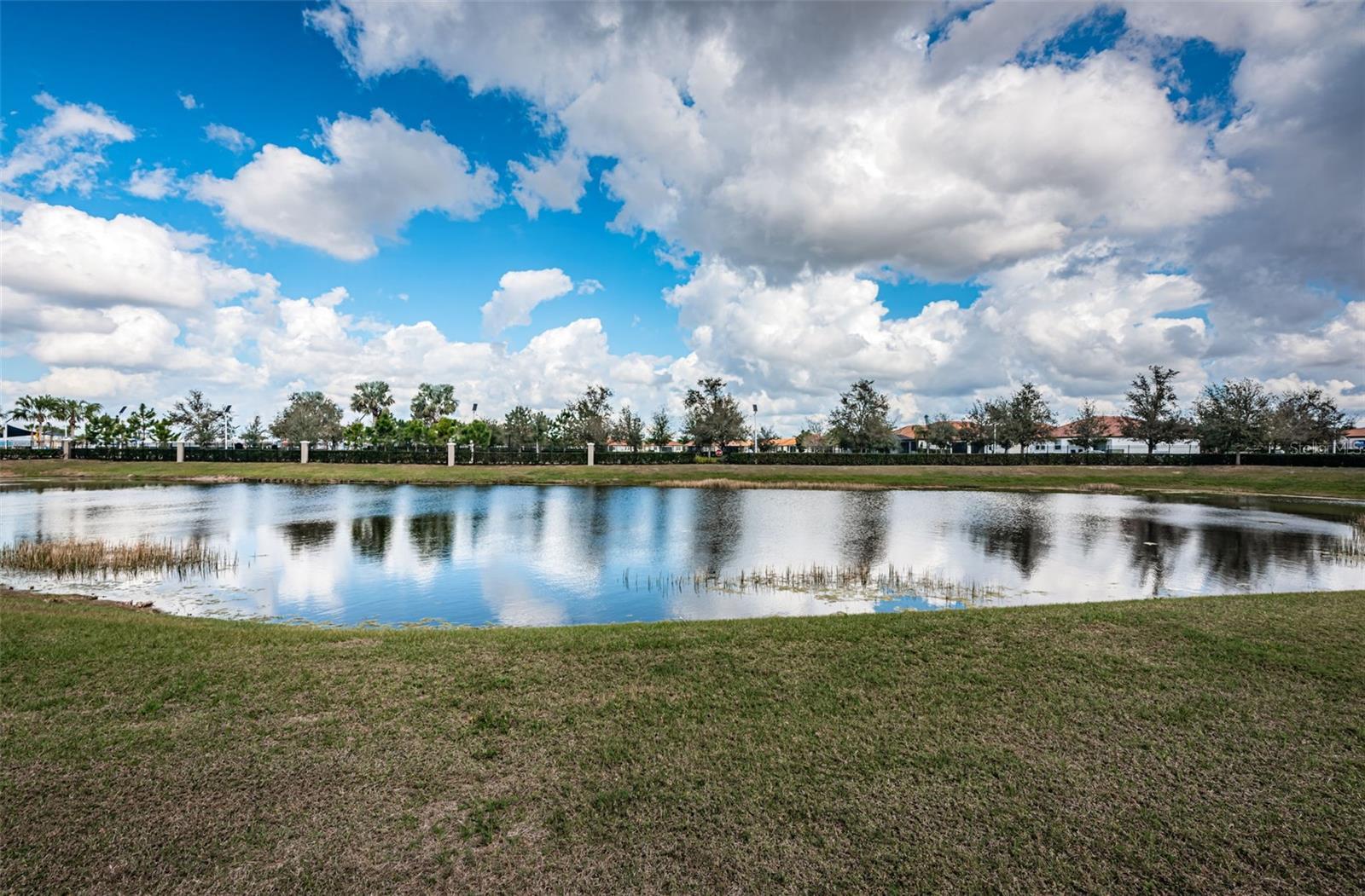 Photo #31