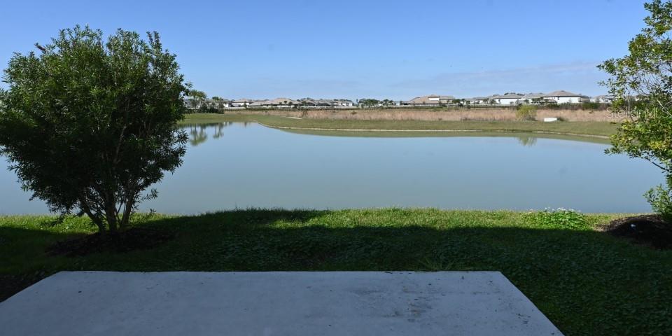 Photo #12