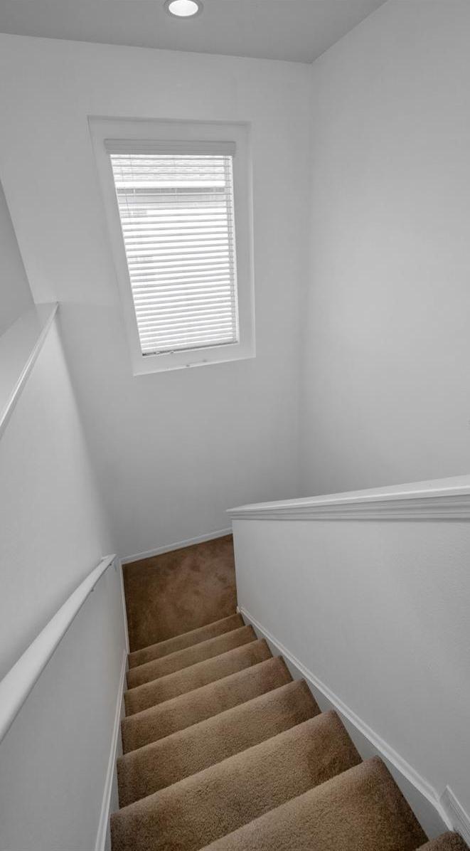 Photo #43