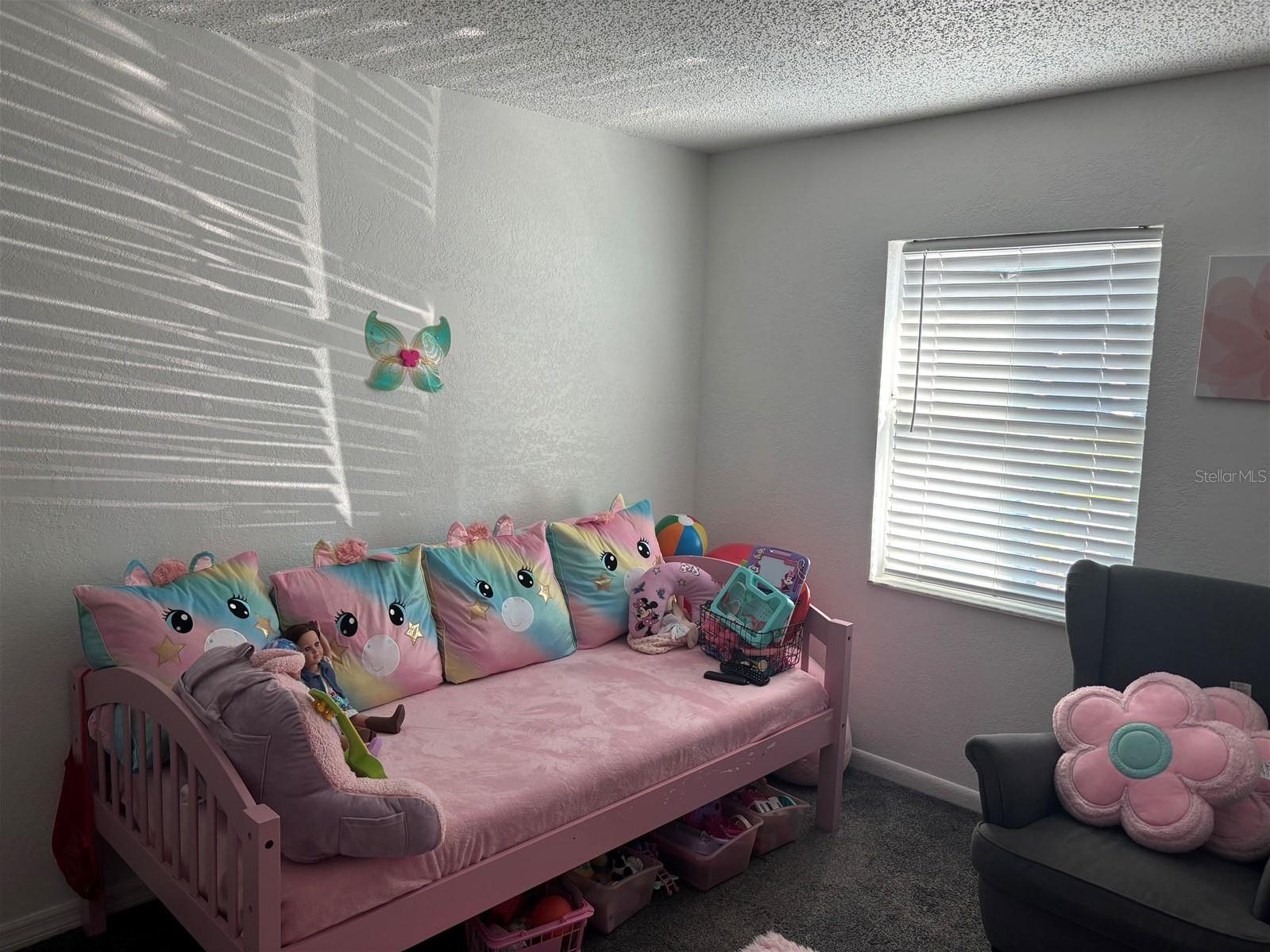 Photo #15