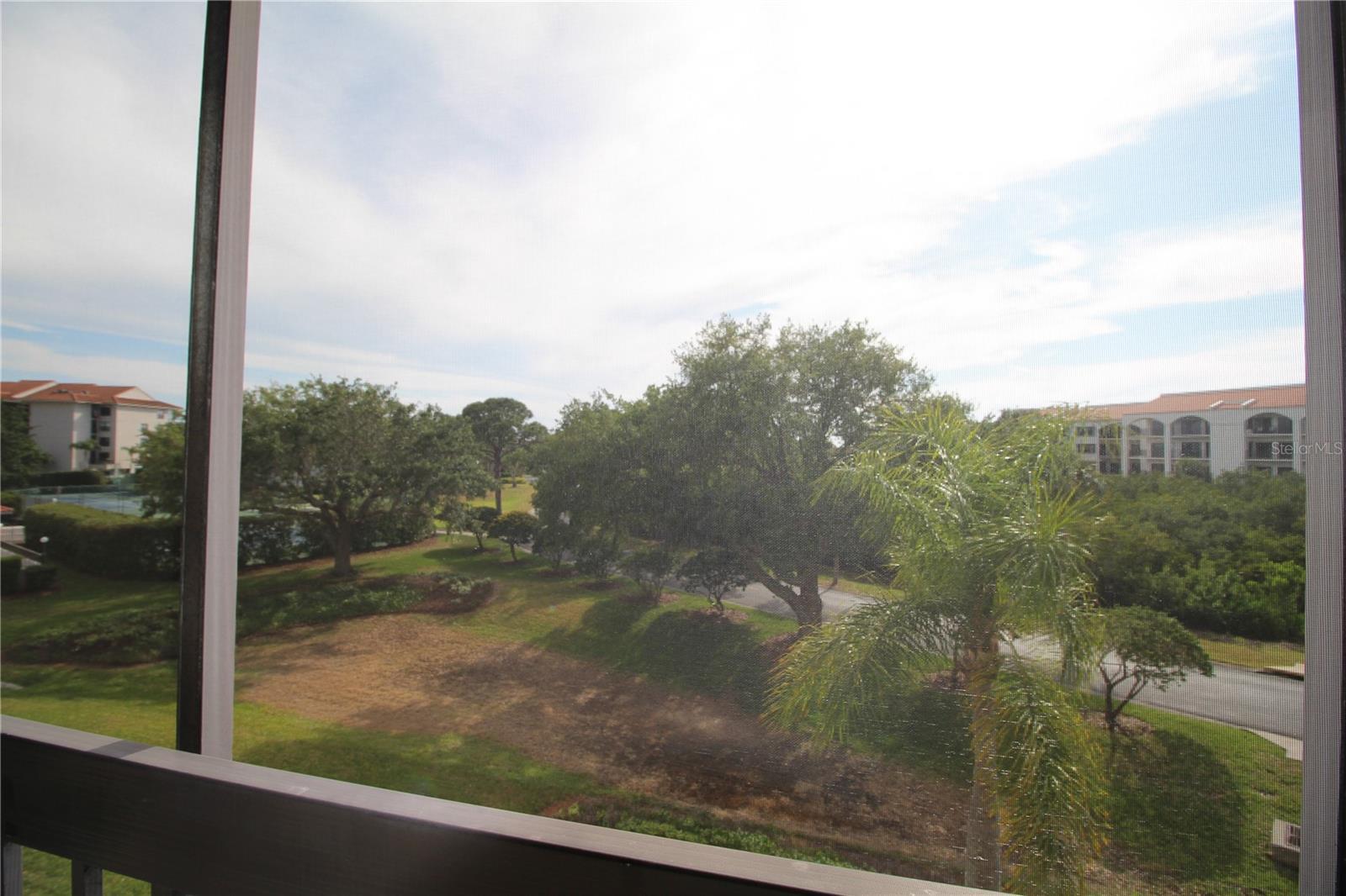 Photo #12