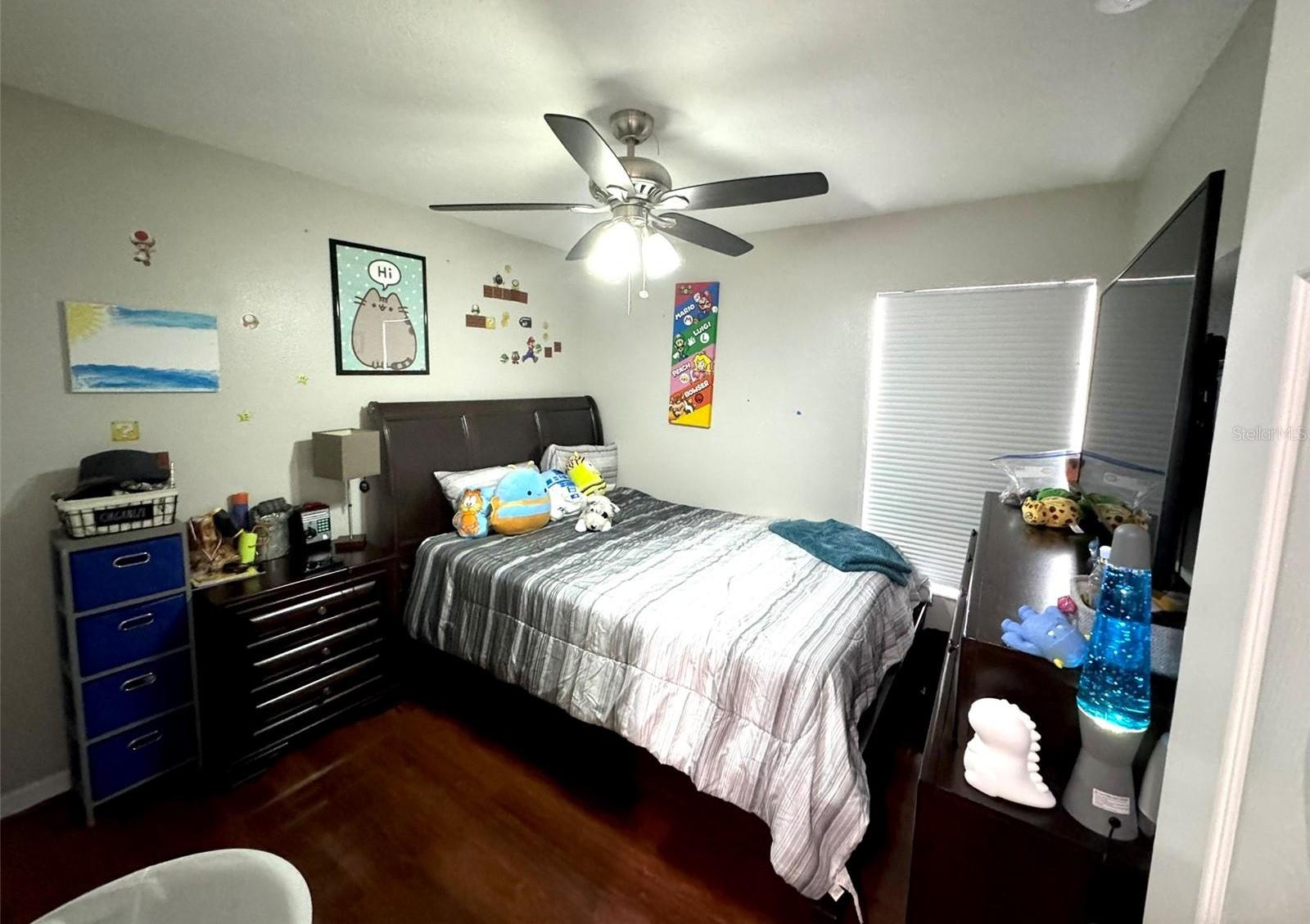 Photo #13