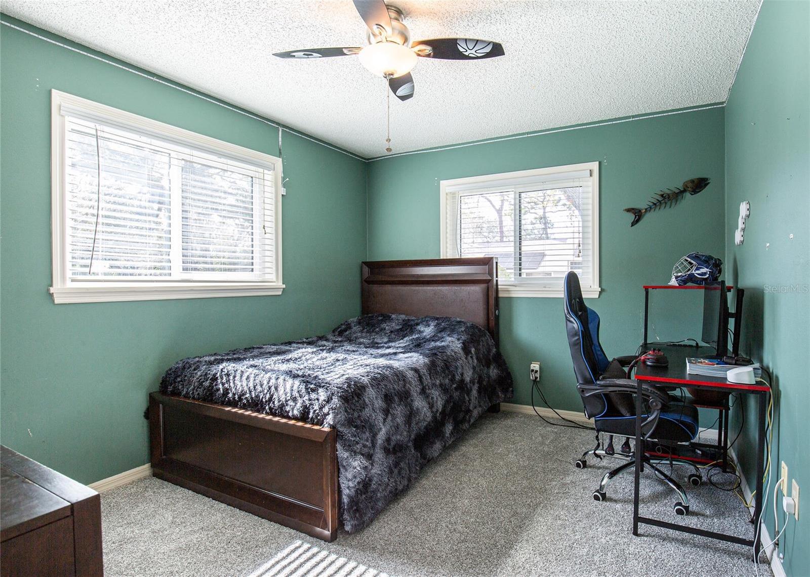 Photo #31