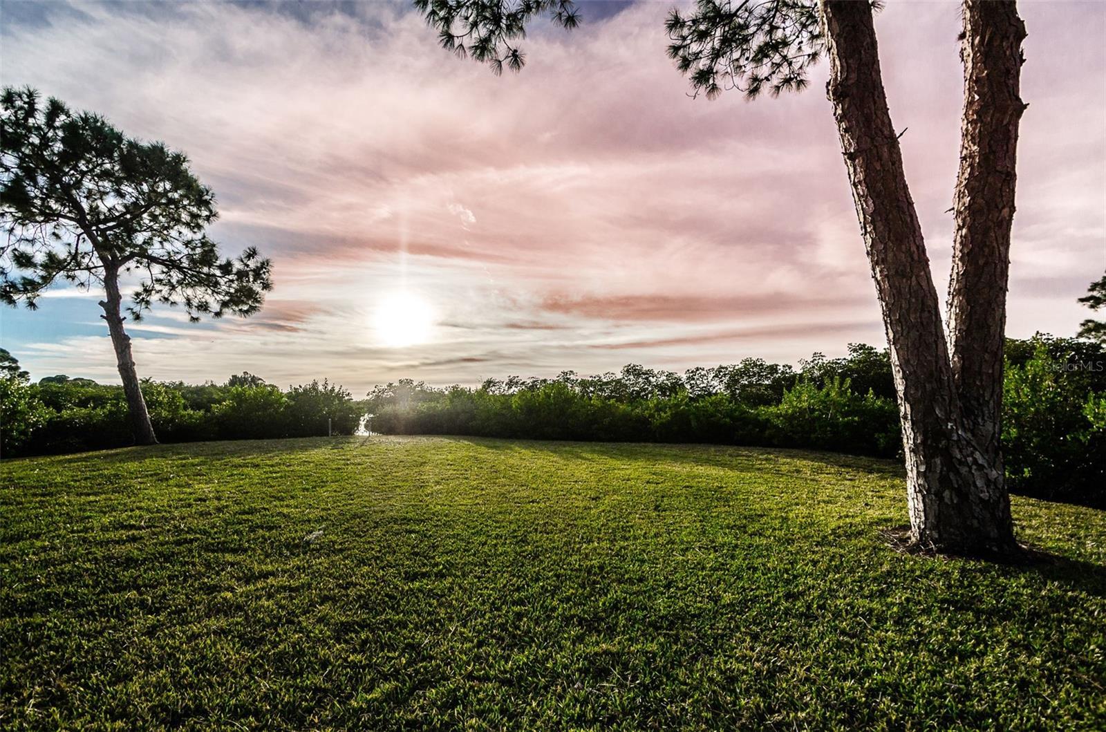 Photo #63