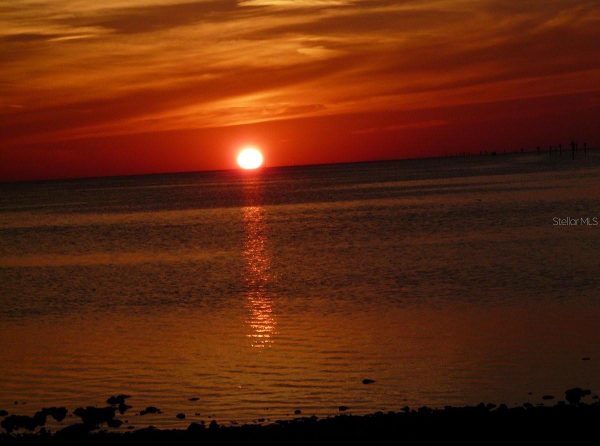 Photo #39