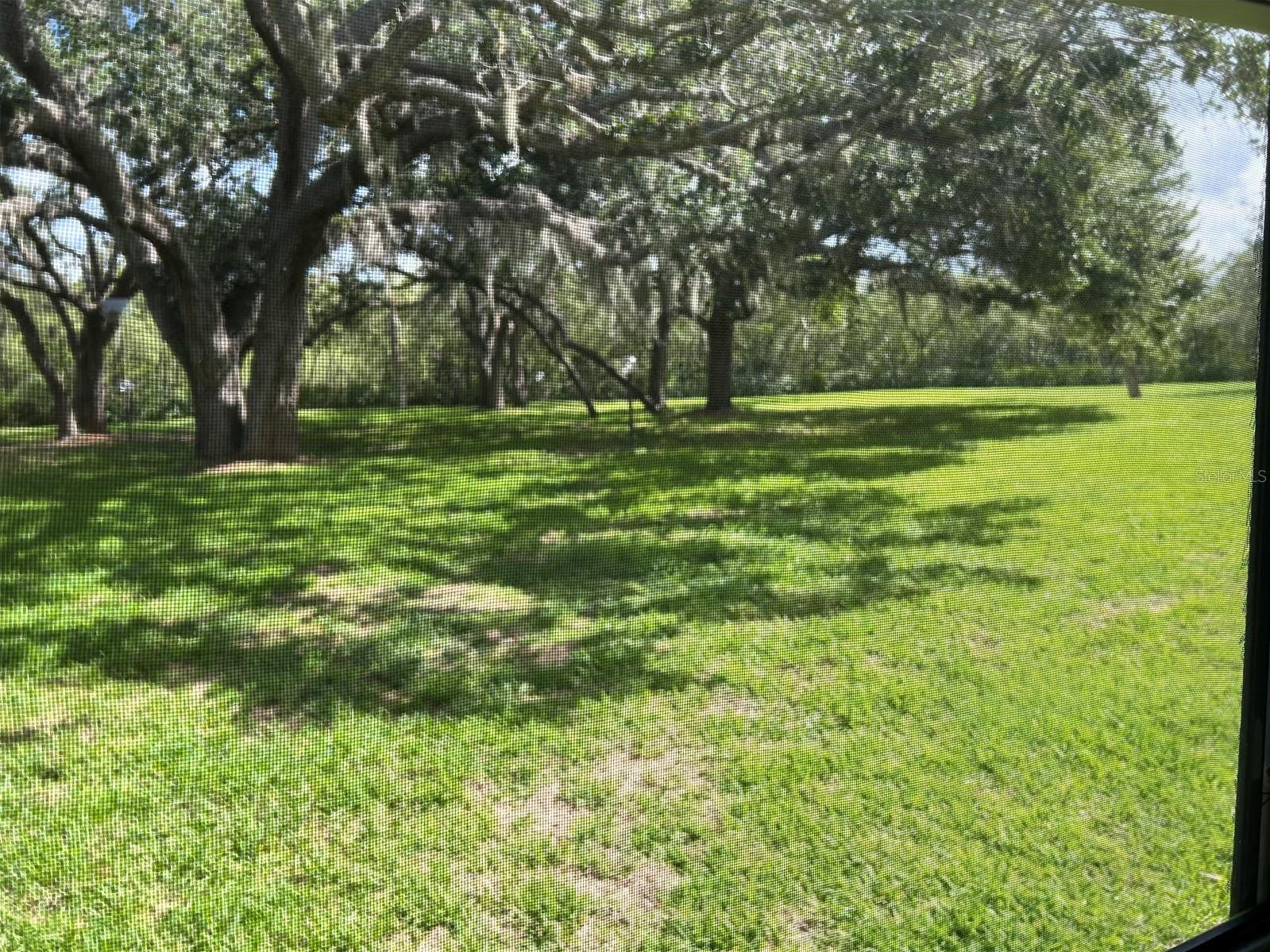 Photo #17