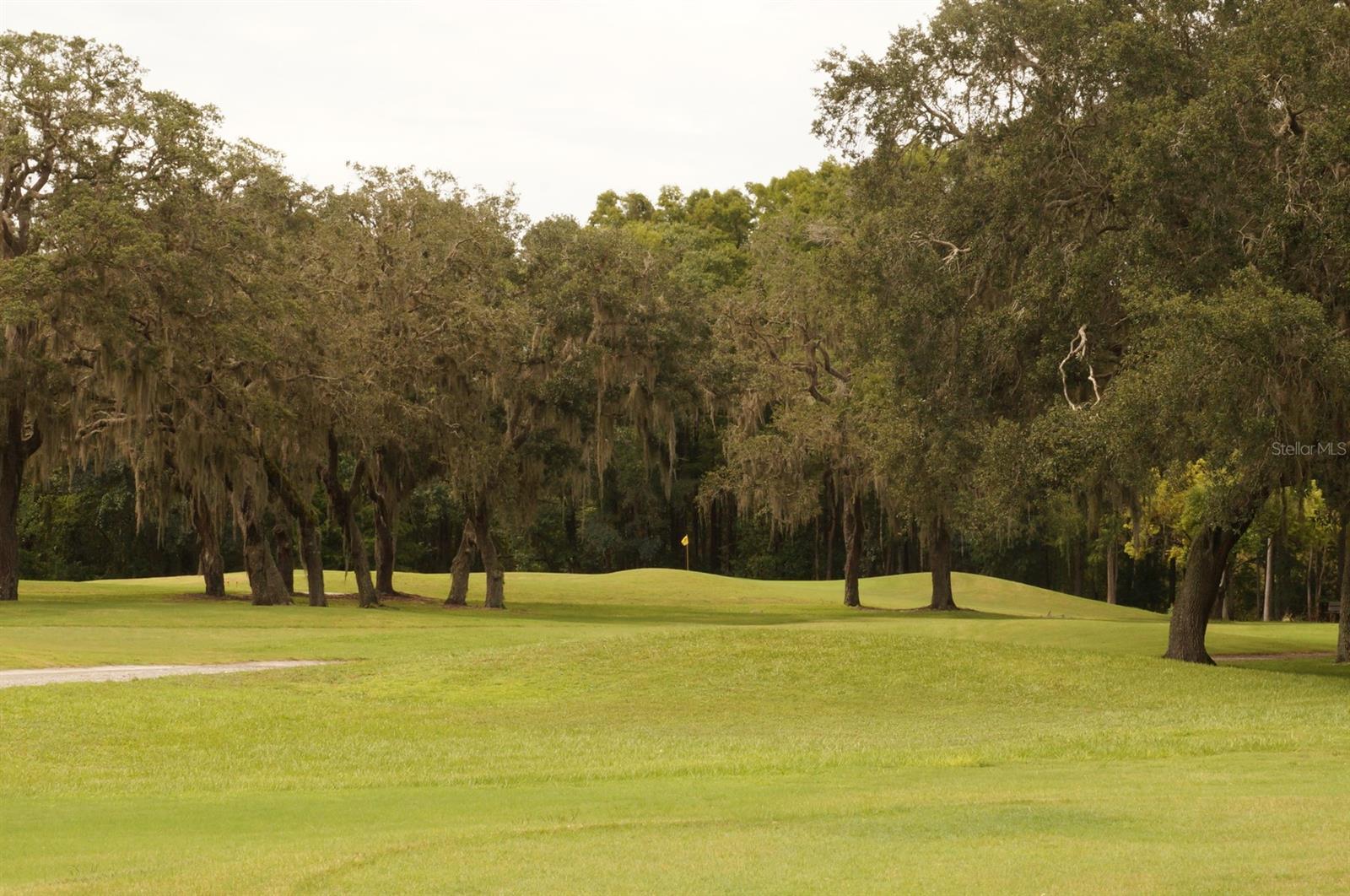 Photo #38