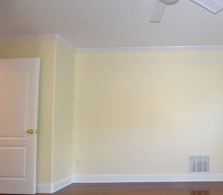 Photo #48