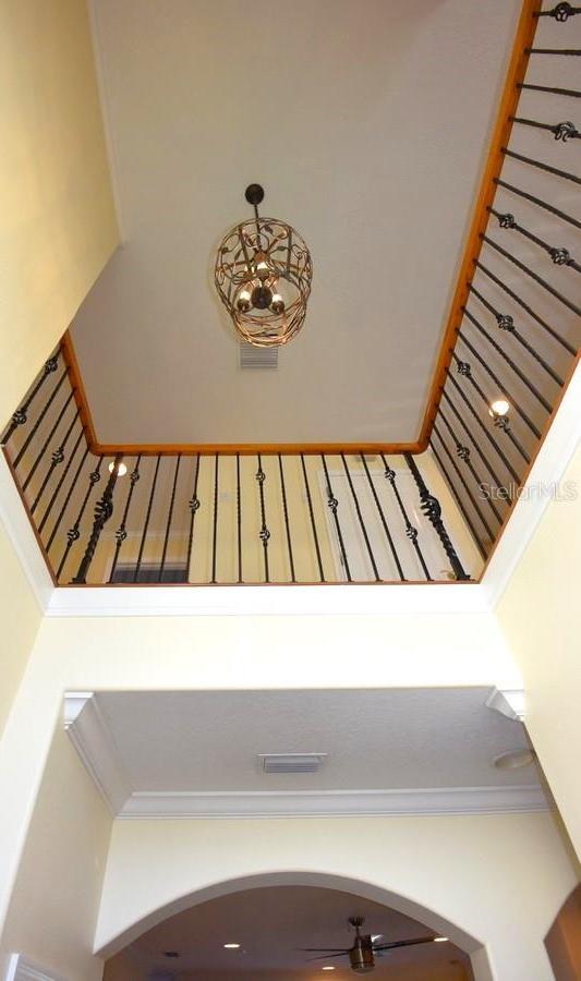 Photo #5