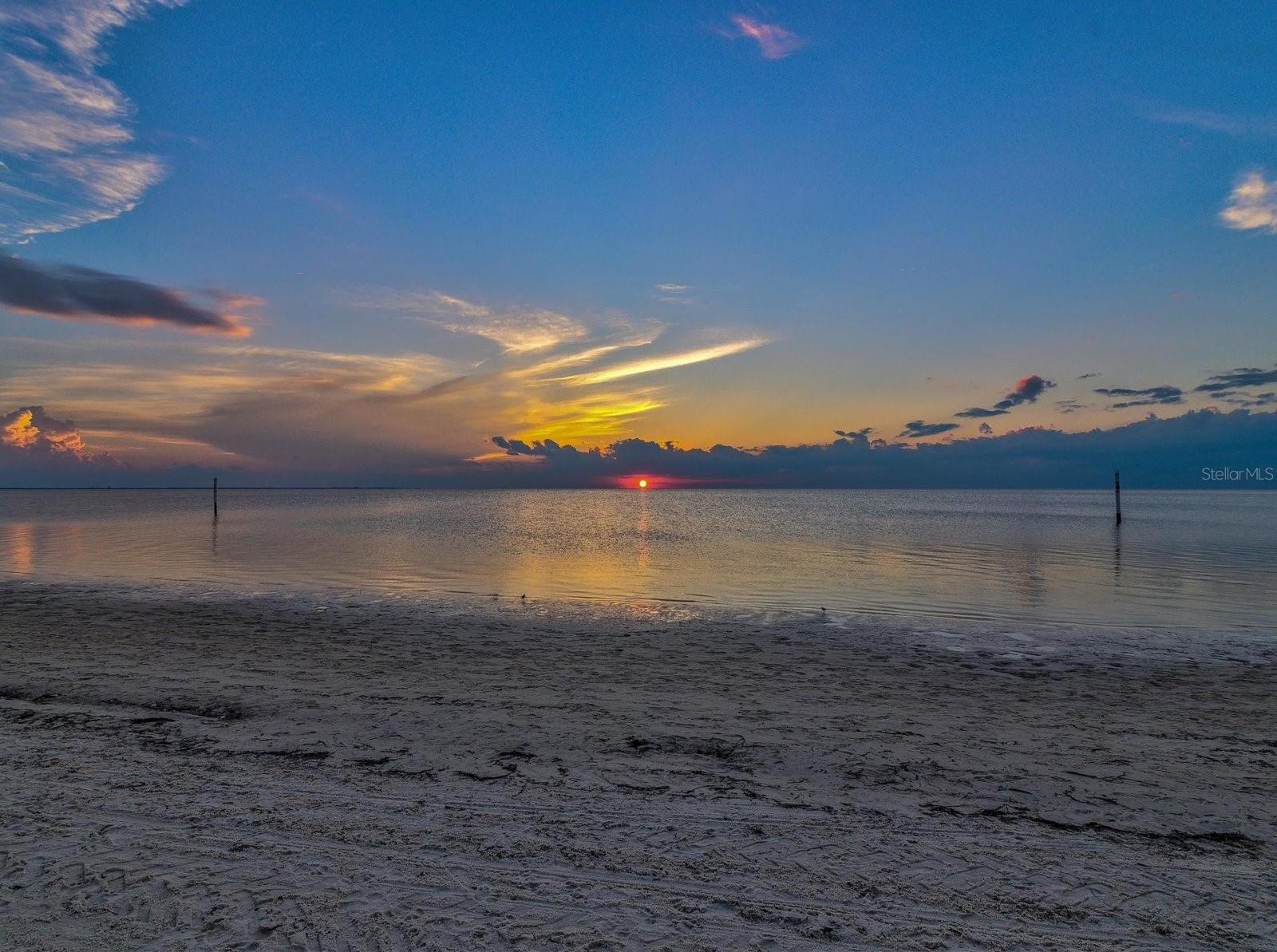 Photo #50
