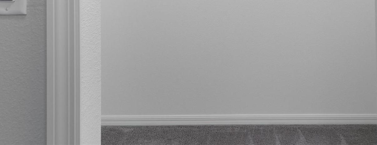 Photo #24