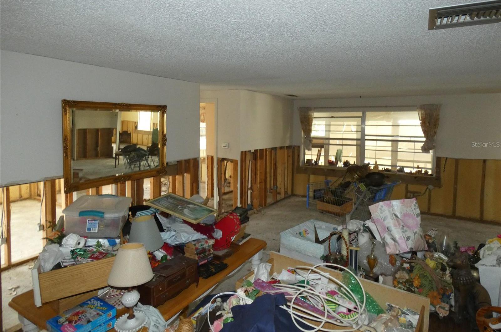 Photo #14