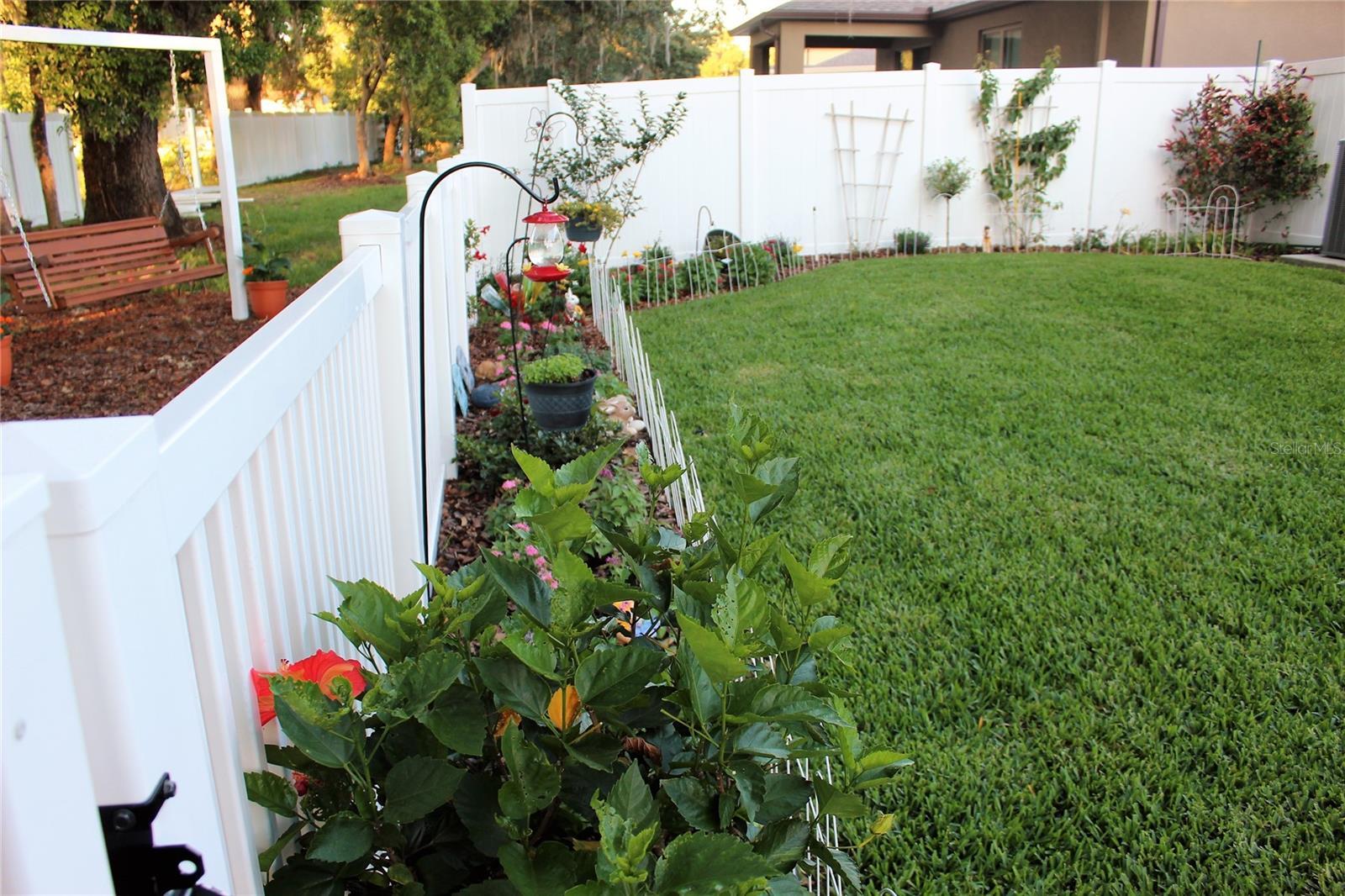 Photo #37