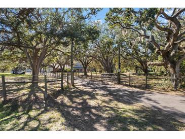 Long driveway leading to a charming home nestled among mature trees at 7146 Territory Ln, Sarasota, FL 34240