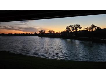 Scenic sunset view over lake with lush green vegetation and houses at 3001 Seasons Blvd, Sarasota, FL 34240