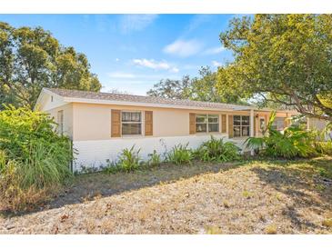 Ranch-style home with a light-colored exterior, landscaping, and a spacious yard at 9066 Oneal Ave, New Port Richey, FL 34654