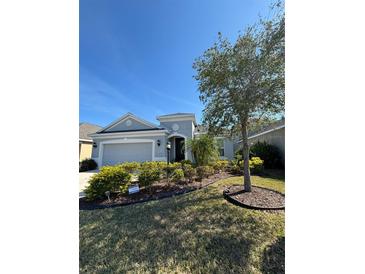 Charming single-story home features manicured landscaping and a well-maintained lawn at 10923 Blue Magnolia Ln, Parrish, FL 34219