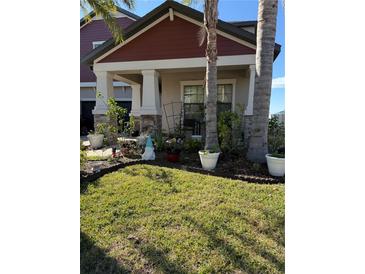 Two-story house with red siding, landscaping, and a large palm tree in front at 12315 Ballentrae Forest Dr, Riverview, FL 33579