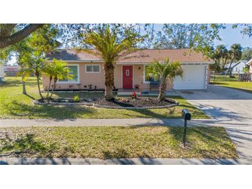 Charming single-story home featuring a well-manicured front yard with palm trees, a red front door, and an attached garage at 4383 Mckibben Dr, North Port, FL 34287