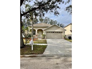 Attractive one-story house with a two-car garage and well-maintained lawn at 1652 Open Field Loop, Brandon, FL 33510