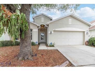 One-story house with a two-car garage and a landscaped yard at 269 Fairmont Dr, Spring Hill, FL 34609