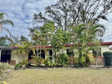 Ranch-style home with mature landscaping and a red roof at 10937 N Lantana Ave, Tampa, FL 33612