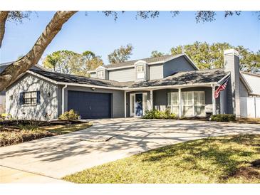 Gray two-story house with a blue door, attached garage, and manicured lawn at 4101 Dellbrook Dr, Tampa, FL 33624