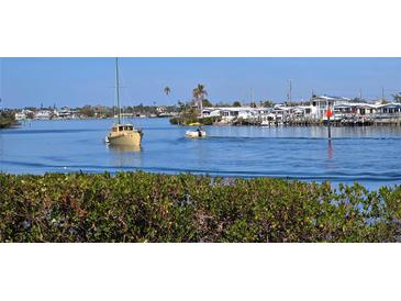 Scenic waterfront view with boats and lush greenery at 250 Santa Maria St # 118, Venice, FL 34285