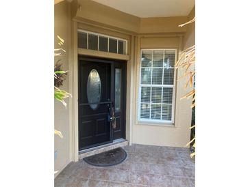 Inviting entryway with a dark wood door and tiled flooring at 125 Amora Ave, Venice, FL 34285