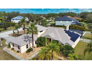 Expansive home exterior featuring a well-manicured lawn, mature palm trees, and solar panels at 15804 29Th E St, Parrish, FL 34219