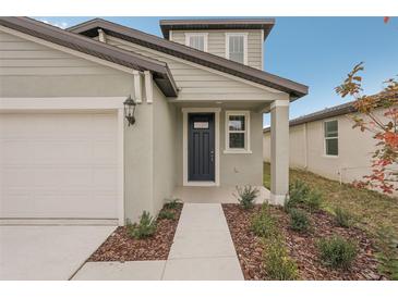 Front entrance of a modern home, featuring a sleek door, manicured landscaping, and inviting walkway at 14009 Crutchfield Ct, Parrish, FL 34219