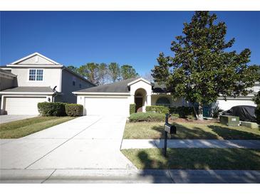 Single-story house with attached garage and landscaped lawn at 4311 Rustic Pine Pl, Wesley Chapel, FL 33544