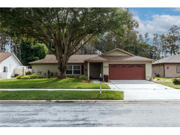 Single-story house with red garage door and well-maintained lawn at 3534 Player Dr, New Port Richey, FL 34655