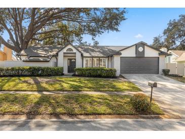 Updated single-story home with a gray garage door and manicured lawn at 815 Bluegrass Ln, Brandon, FL 33510