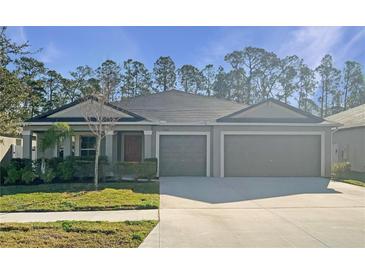 Charming single-story home featuring a well-manicured lawn and an attached two-car garage at 13507 Willow Bluestar Loop, Riverview, FL 33579