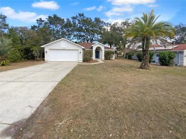 Charming single-story home featuring a well-maintained front yard and attached two-car garage at 8103 Rhanbuoy Rd, Spring Hill, FL 34606