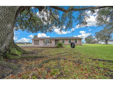 Ranch house with a tire swing under a large oak tree and expansive lawn at 5111 Smith Ryals Rd, Plant City, FL 33567