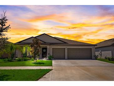 Attractive single-story house with three-car garage and landscaped yard at 288 Rain Berry Ave, Ruskin, FL 33570