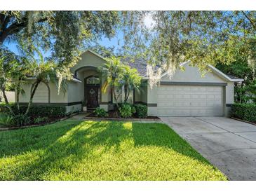 Attractive single-story home with a two-car garage and lush landscaping at 811 Woodcarver Ln, Brandon, FL 33510